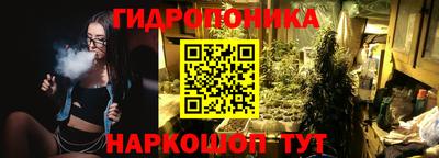 шишки Ачхой-Мартан
